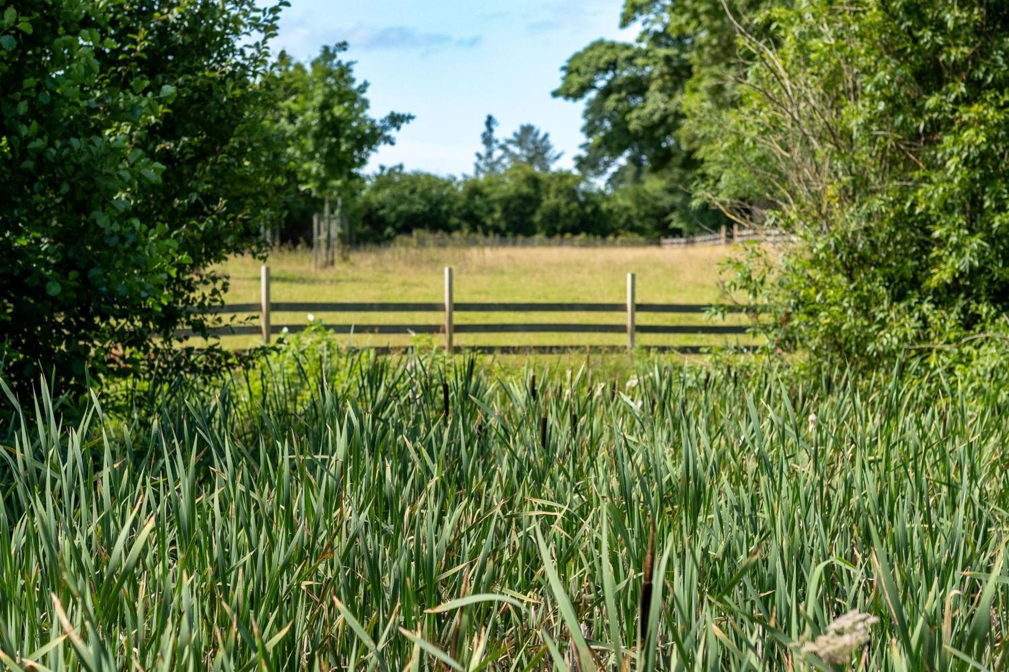 Marcassie Farm Lodges - Birch Studio フォレス エクステリア 写真